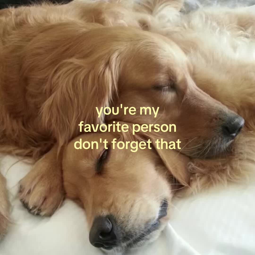 @motionsoflove