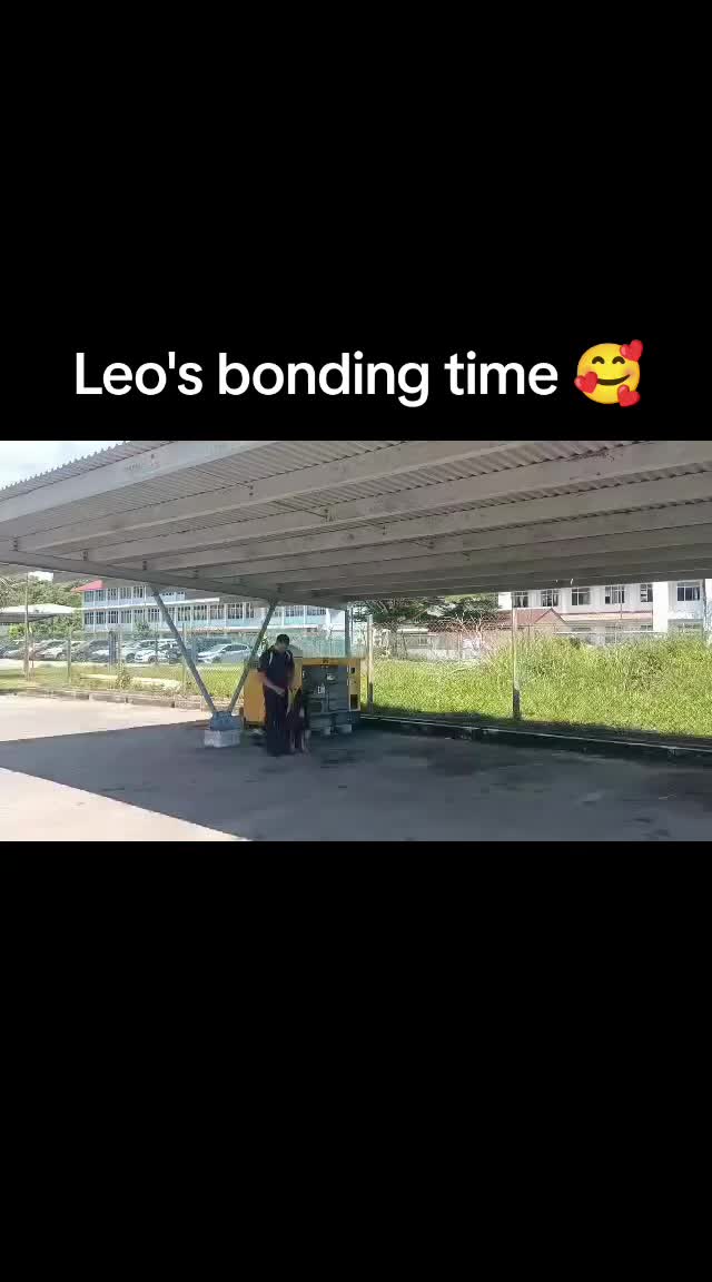 @❤️Alina❤️