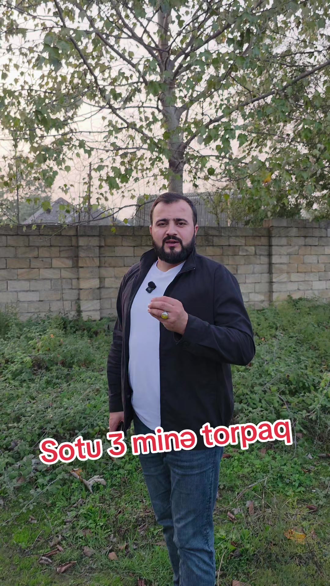 @pervin_caferi