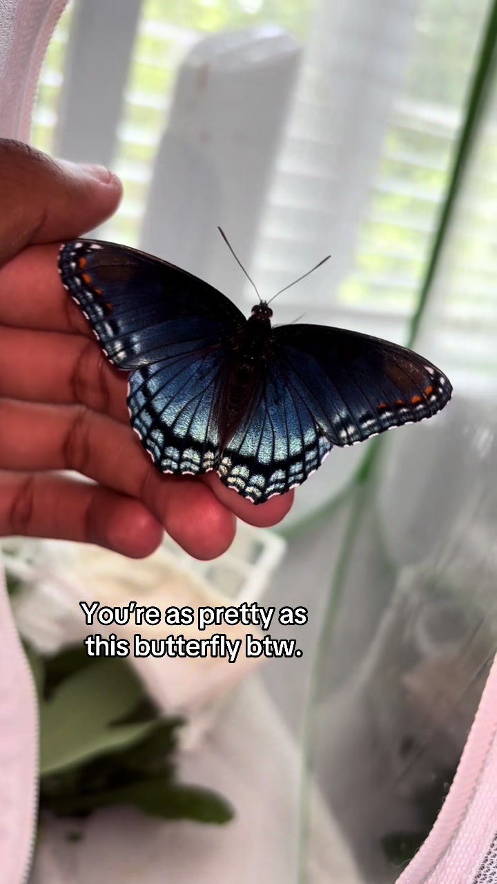 @⚛️Blakeee_Butterfl1y✝️
