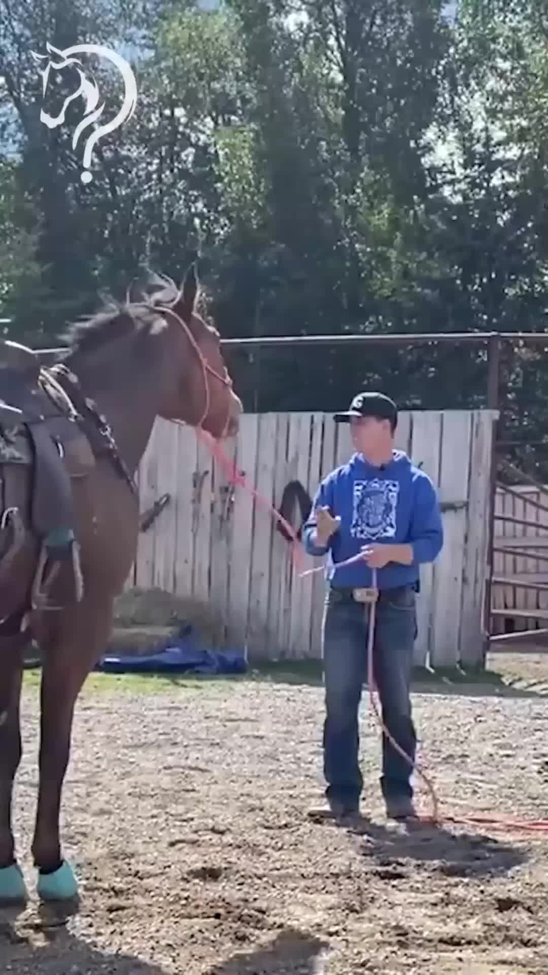 @Horse Help