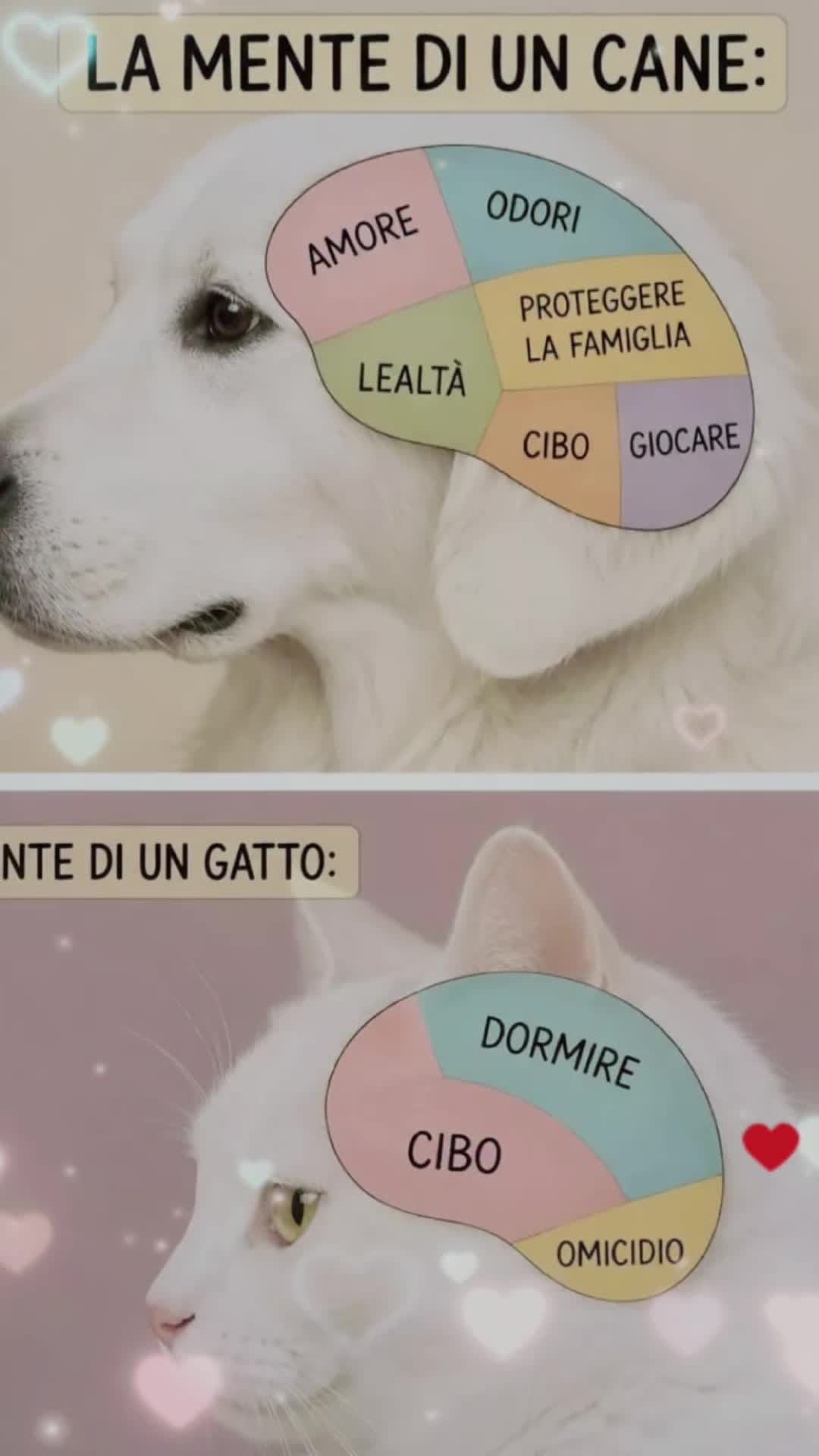 @VENNE DAL FREDDO 🥶