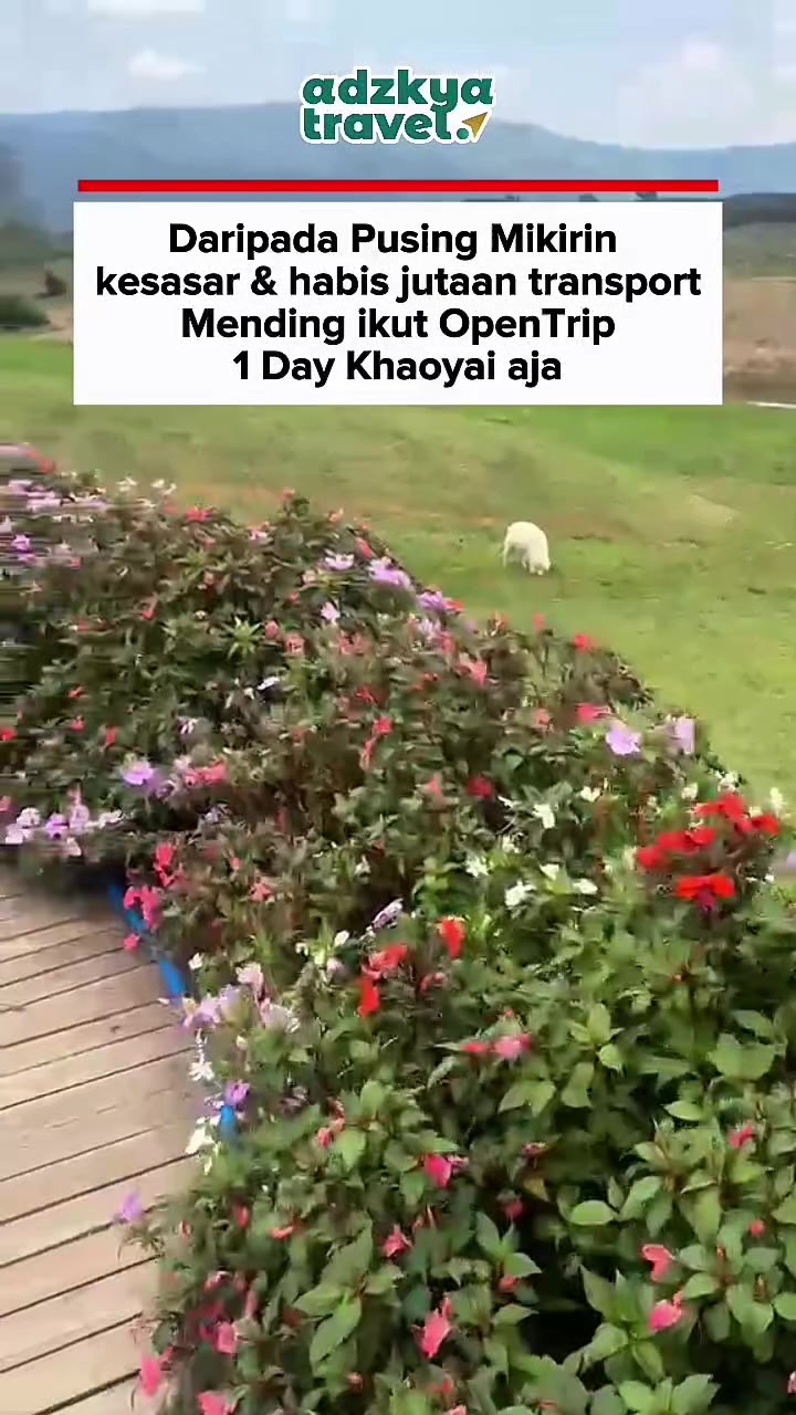 @ADZKYA TRAVEL
