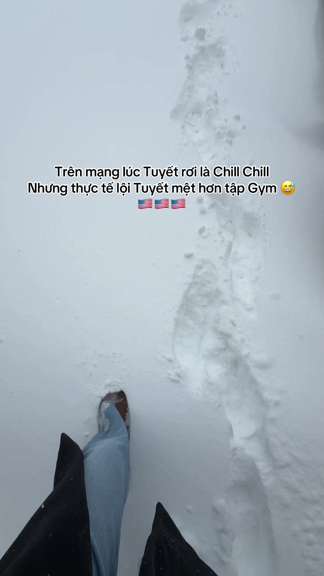 @Thuý Sống Ở Mỹ 🇺🇸