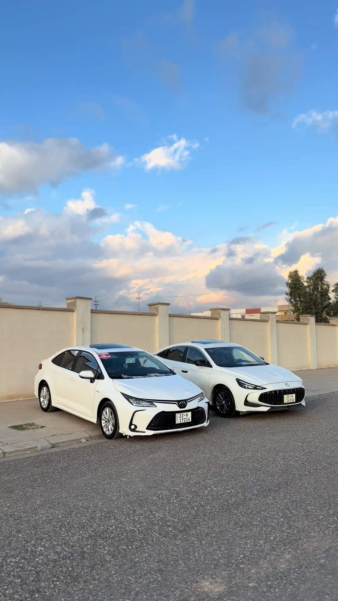 @hama-haybred