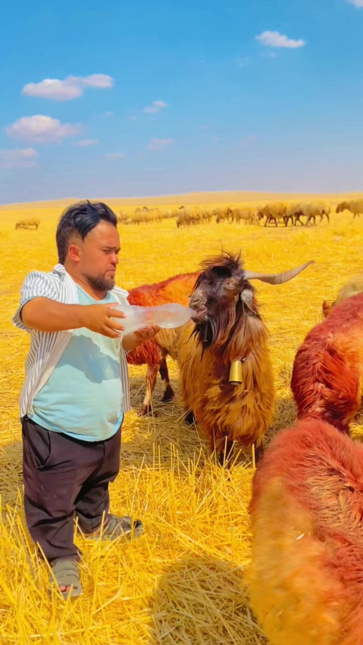 @SEDAT Uçâk|صدام العلي