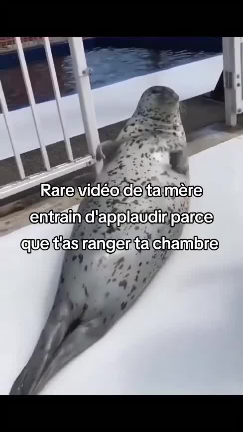 @FouRireAnimal