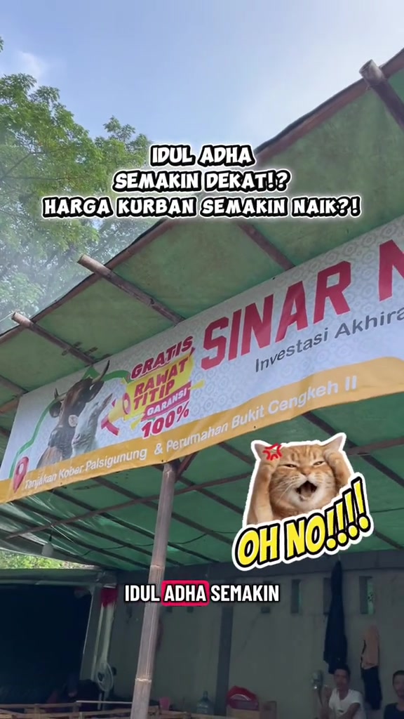 @sinar muda grup