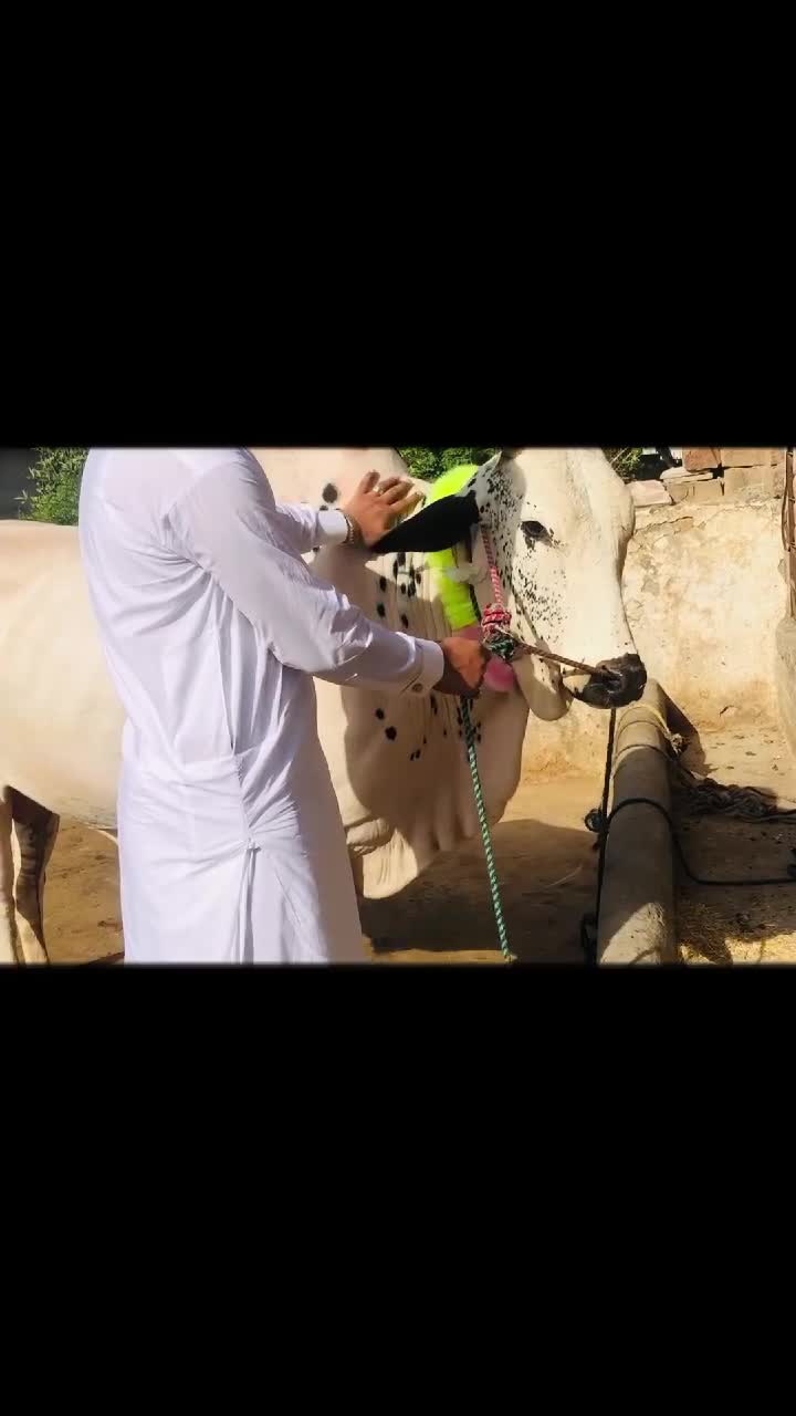 @پکھڑال_001💞