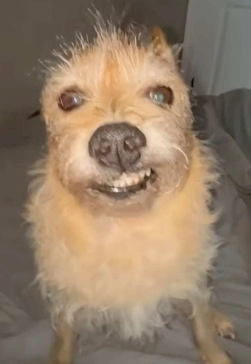 @๐