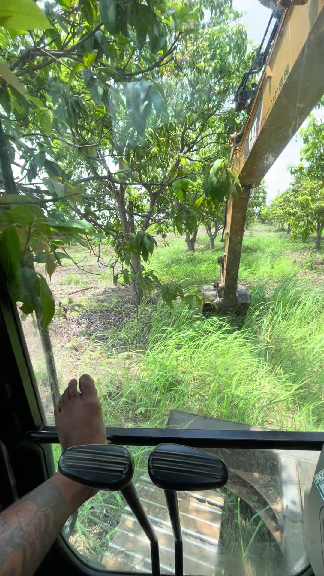@បង ឡង99529