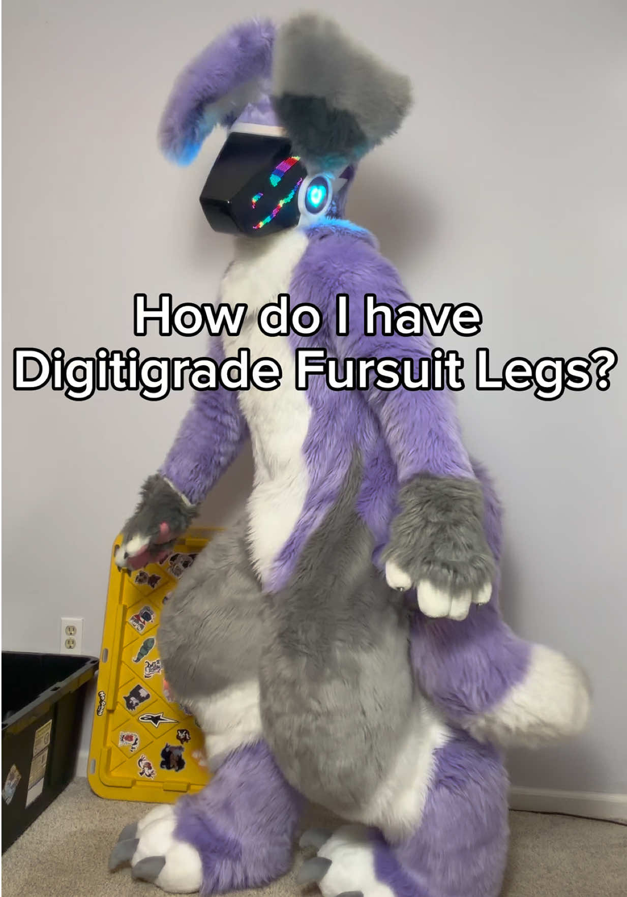 @SnowZard 🔜 FWA