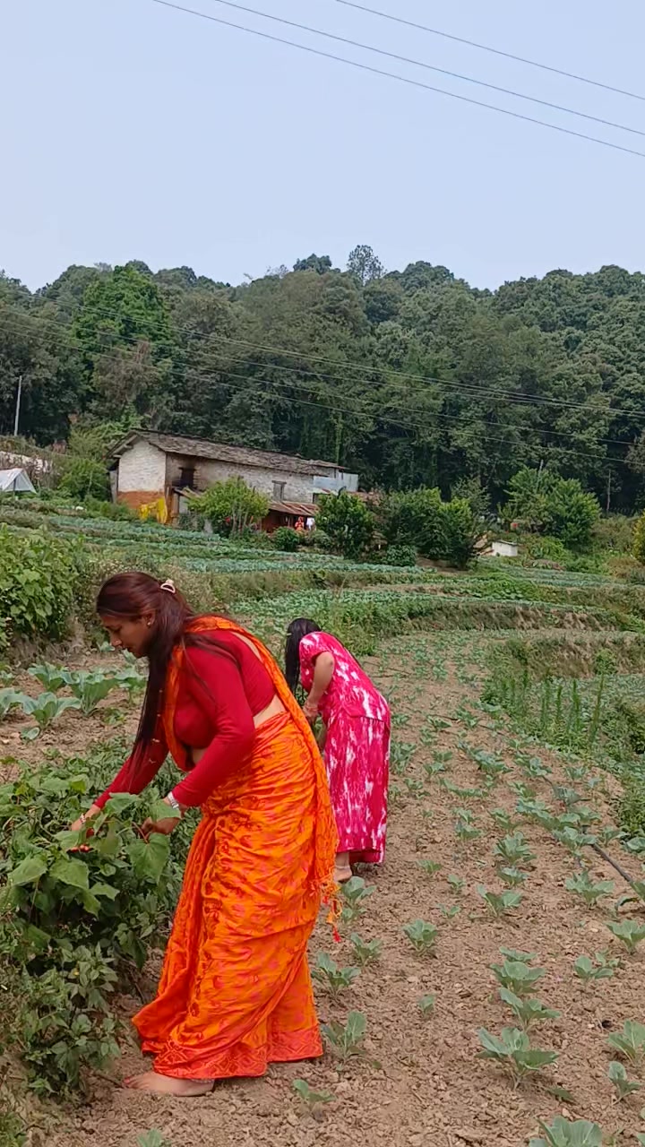 @pushpa ayer