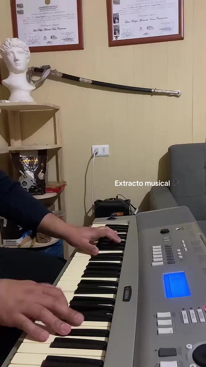 @Felipe Vera Casanova