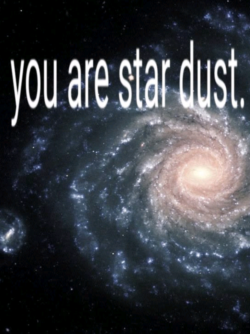 @ᝰ˖ꜱᴋᴀᴛᴇʀ ᴄʜɪᴄᴋ ʀɪᴄᴋ˖ᯓ★