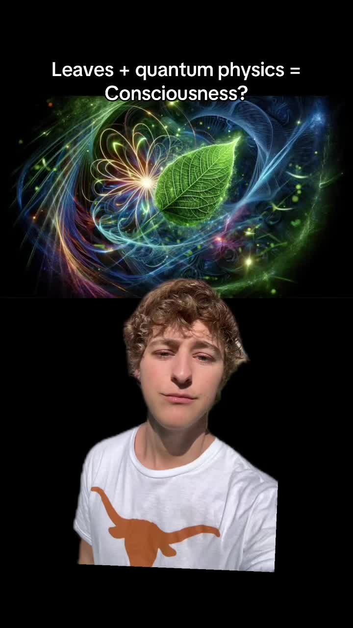 @brandonsbrainwave