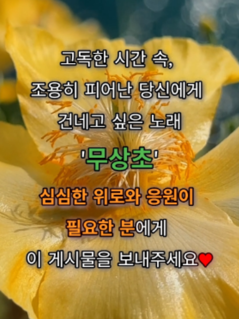 @트니나와2