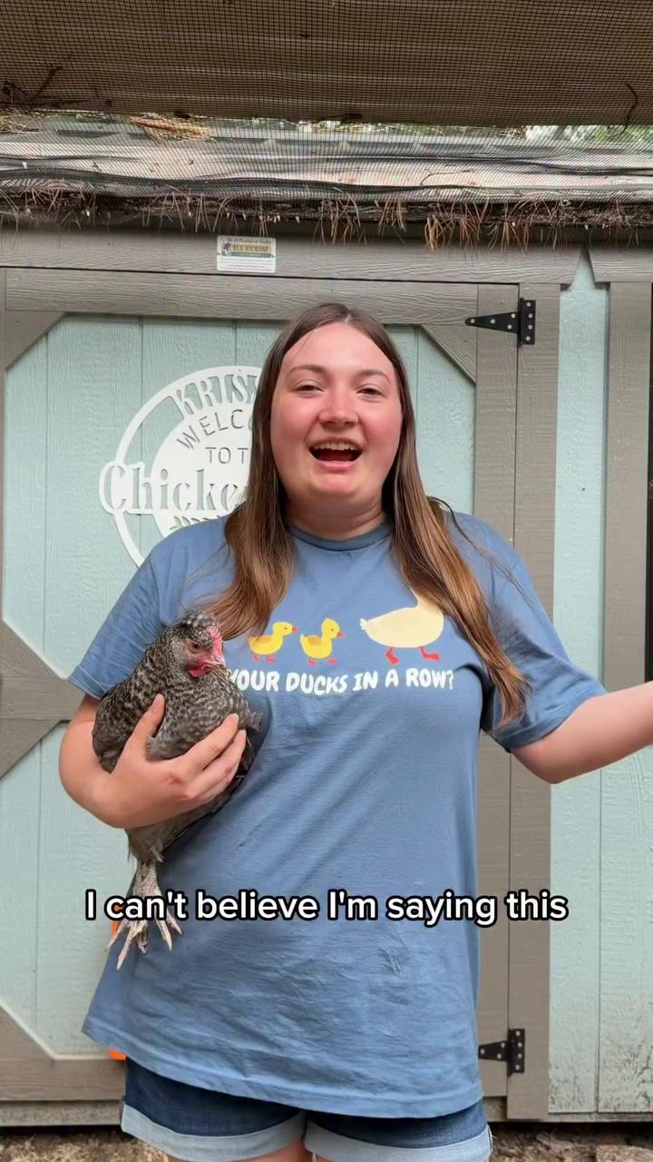 @Scratch and Peck Feeds