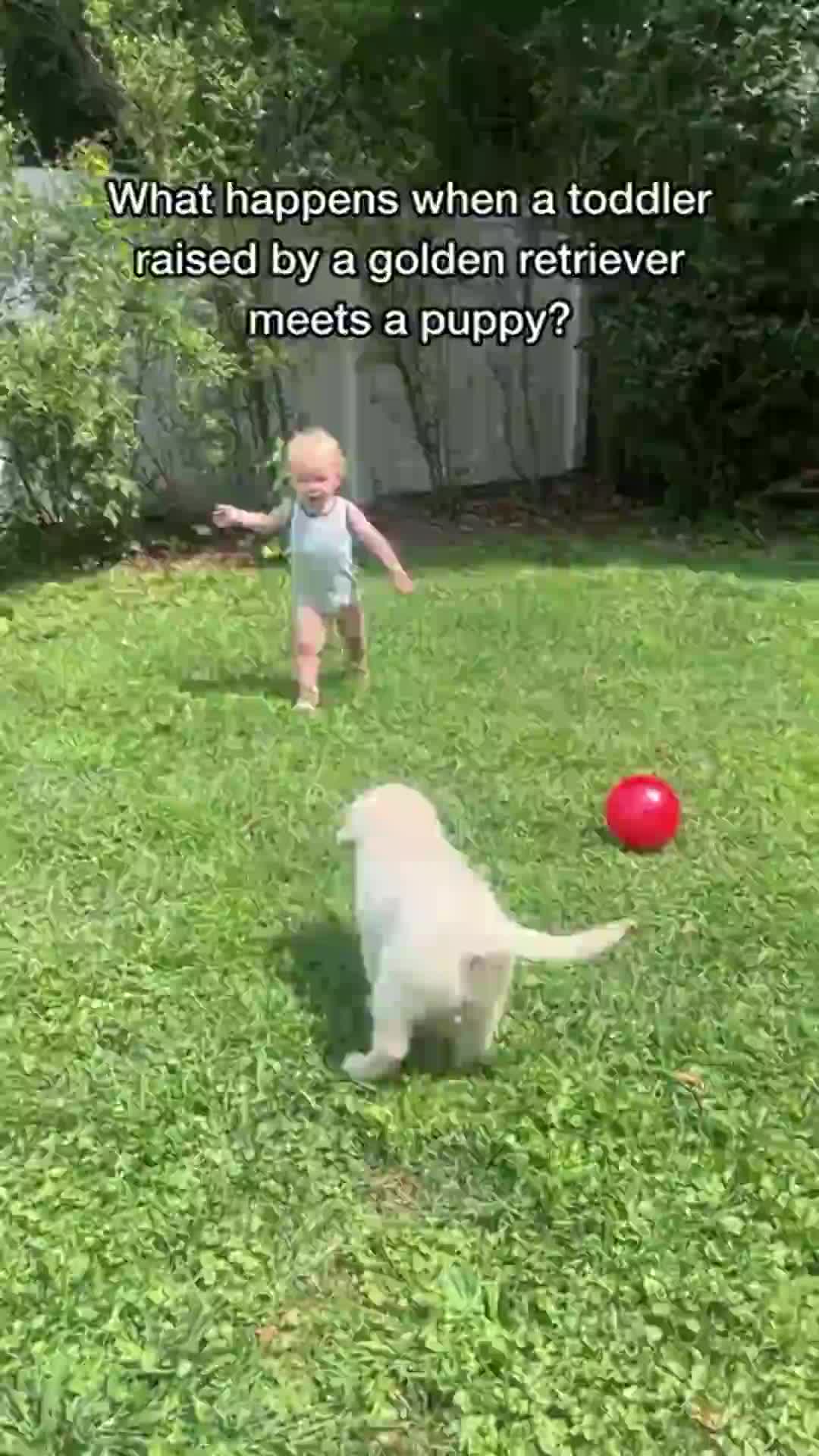 @Dev | mom + dog mom