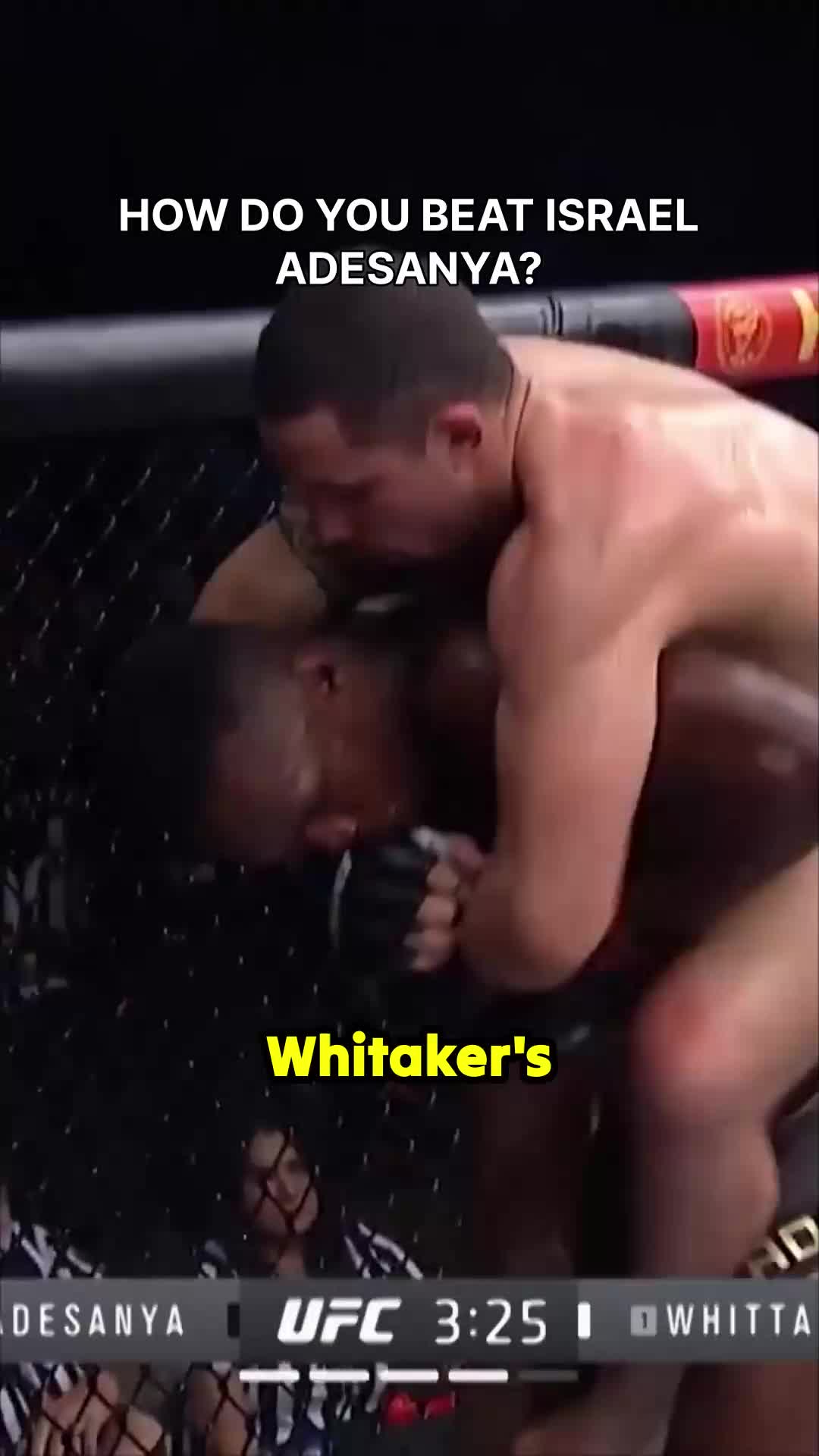 @championsofthesport0