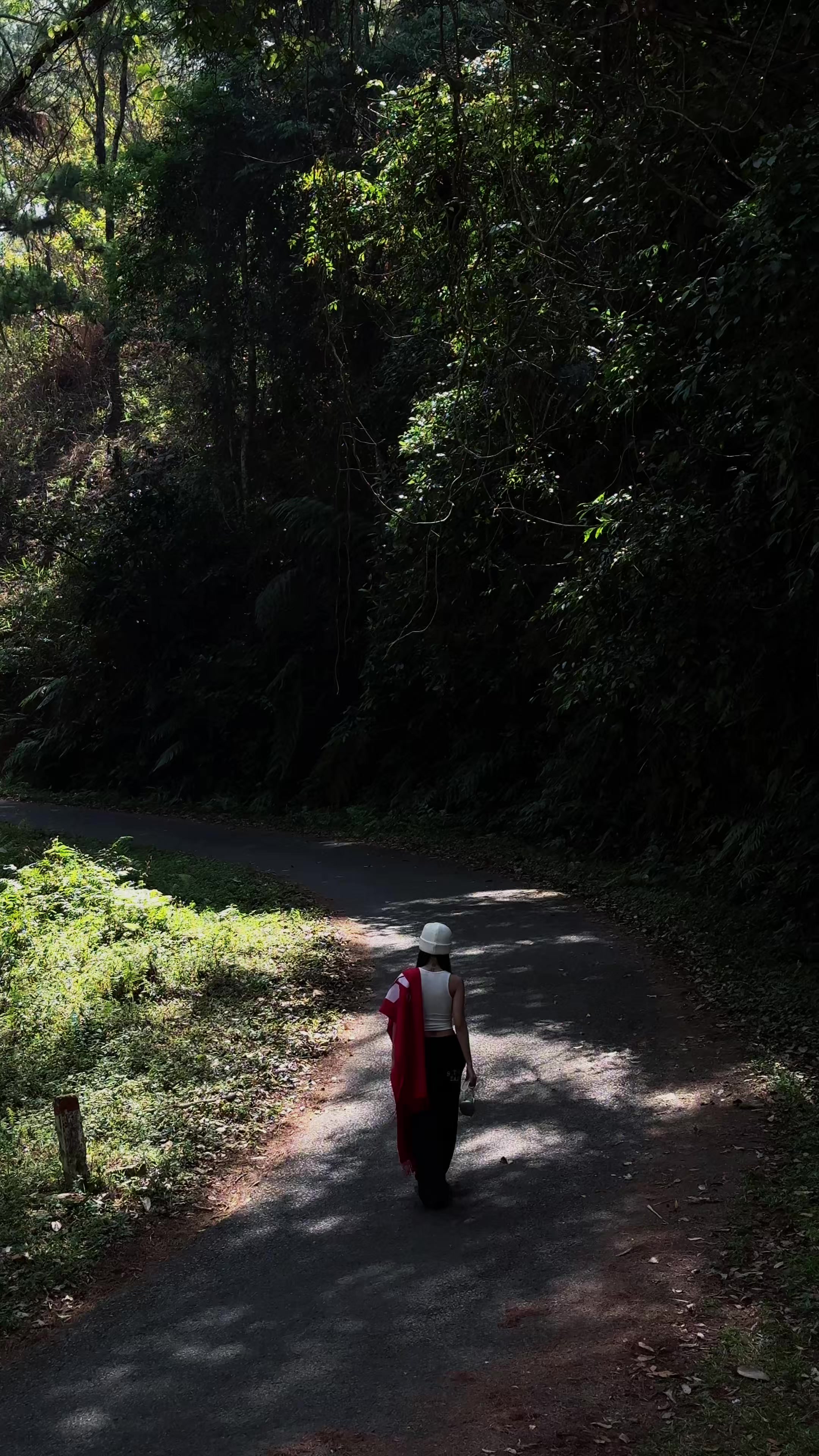 @Đà Lạt Memories