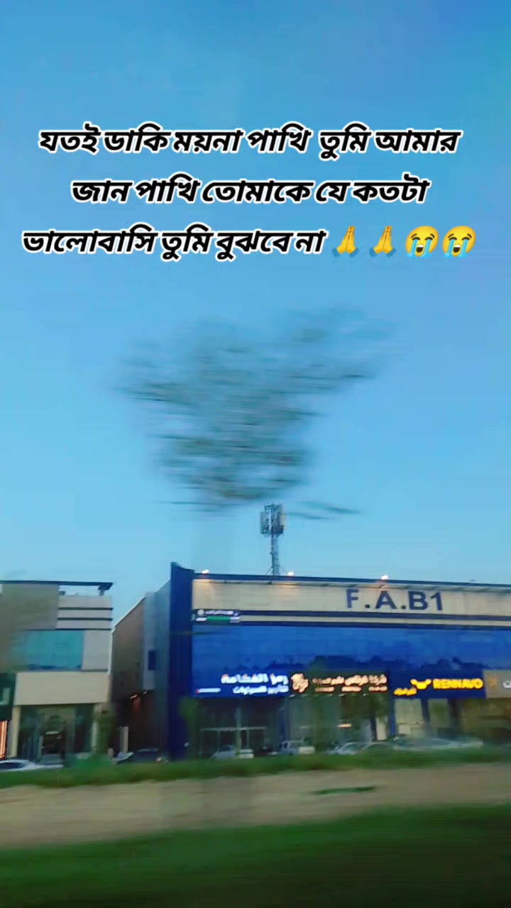@🇸🇦🐦🐦পাখি🐦🐦Pakhi🐦🐦🇸🇦
