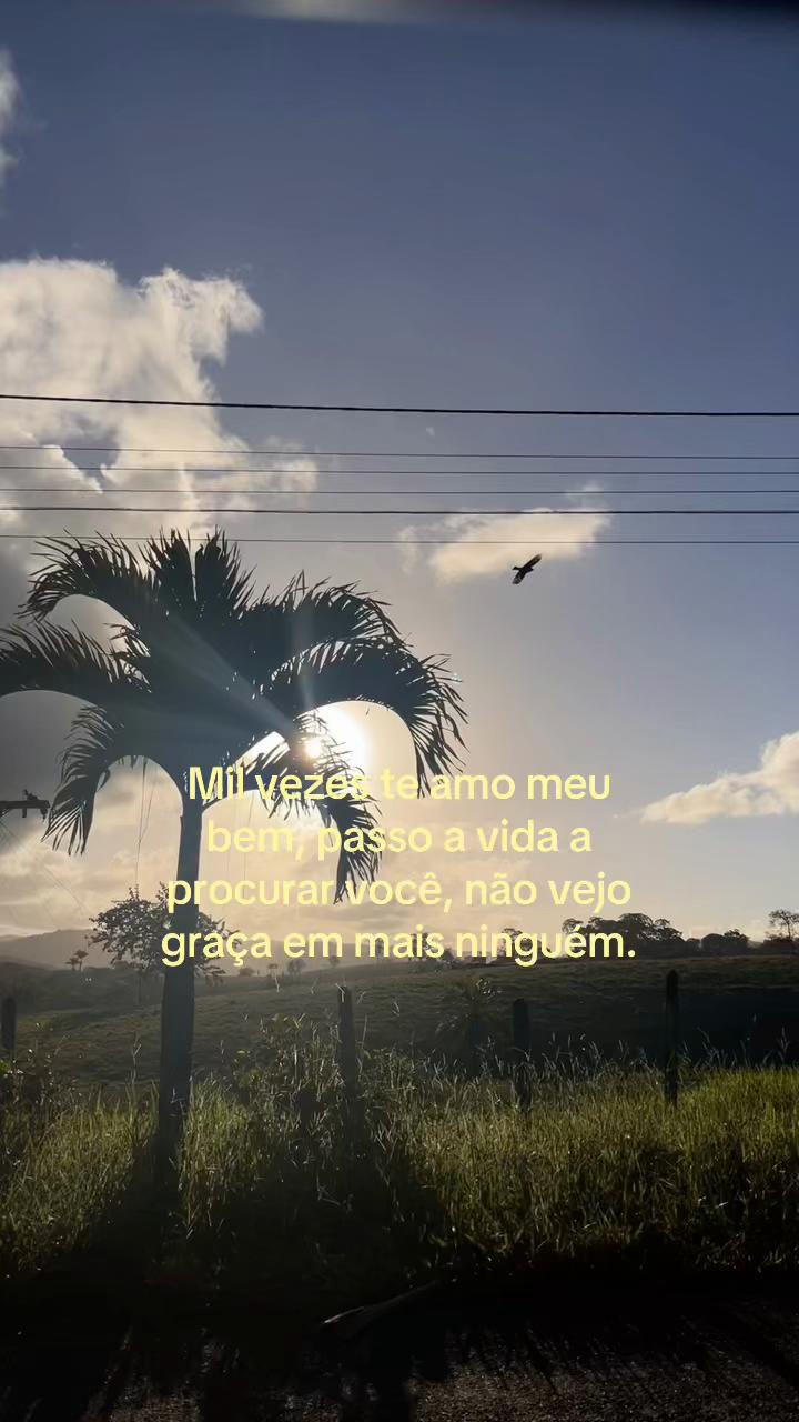 @_n3ssinha💋
