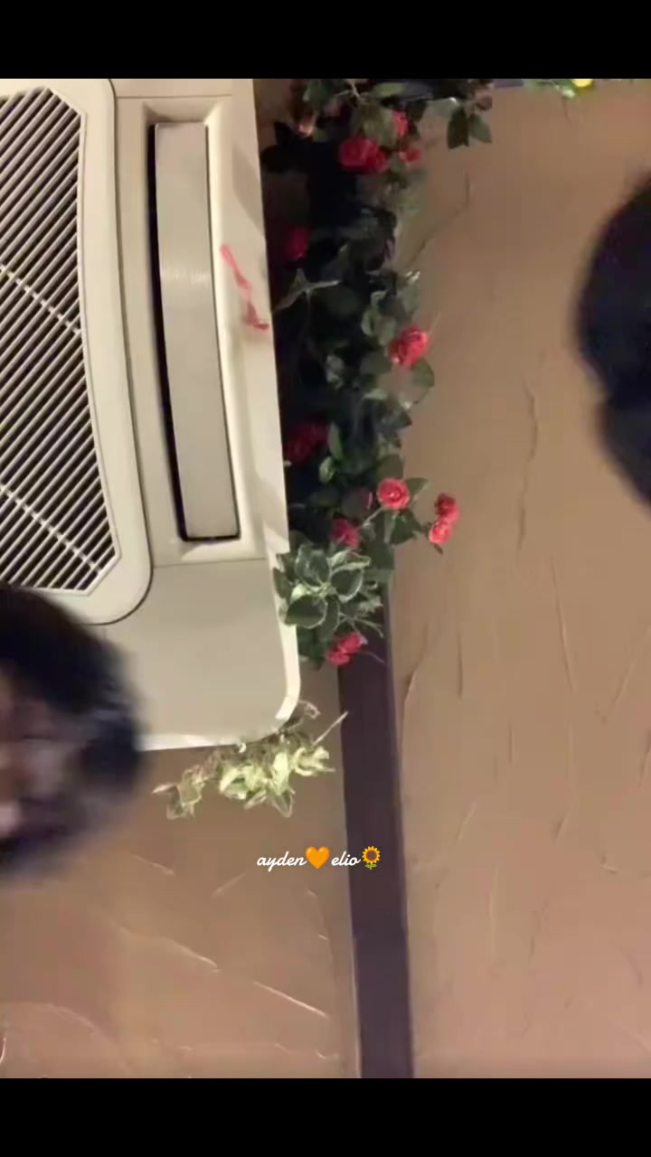 @𝒂𝒚𝒅𝒆𝒏🧡𝒆𝒍𝒊𝒐🌻