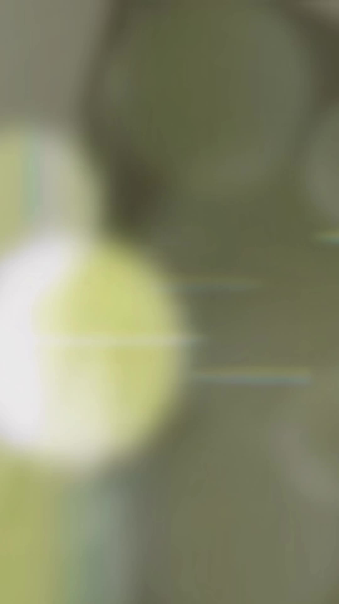 @𝙢𝙪𝙝𝙞𝙗4𝙮𝙤𝙪🚀_