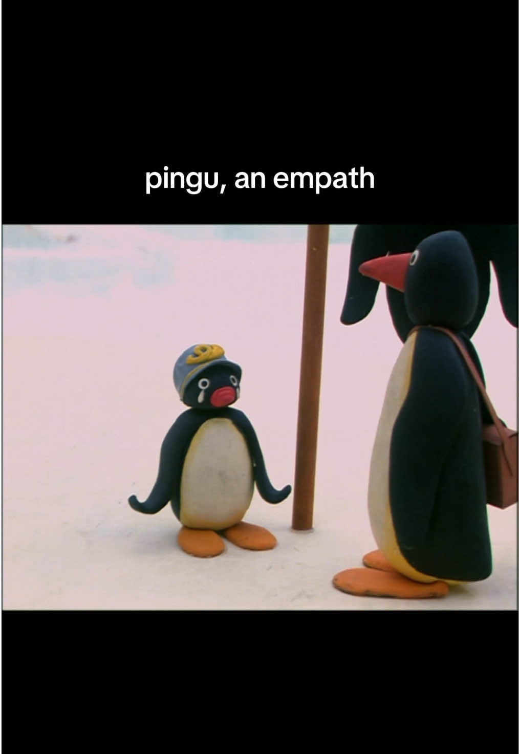 @Pingu
