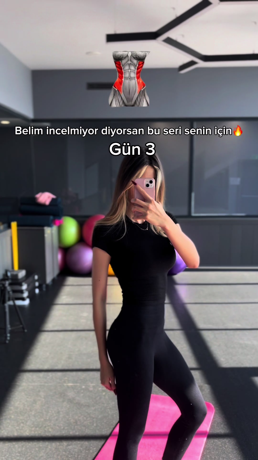 @melekarslanp