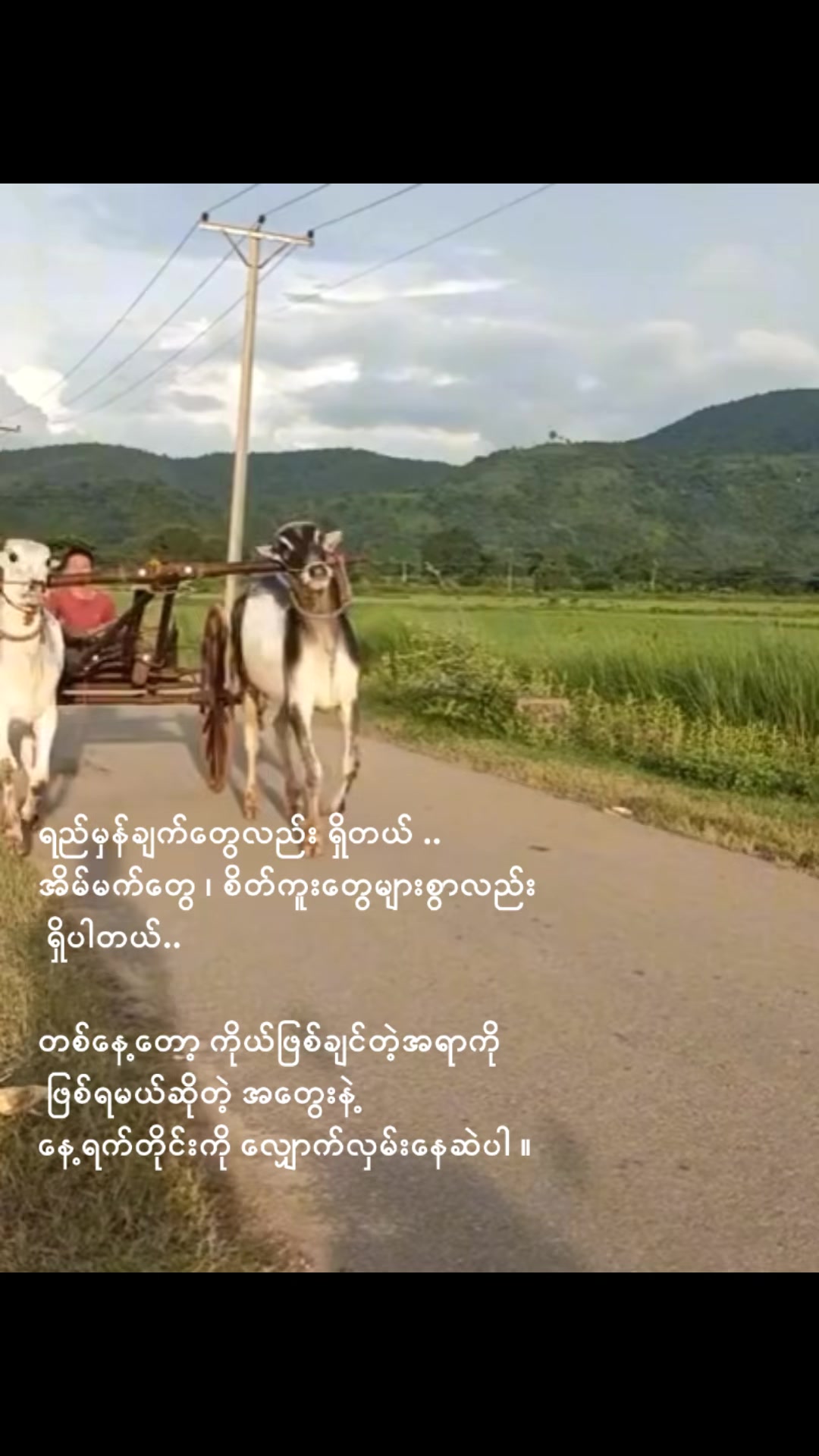@Siva Yadav2981