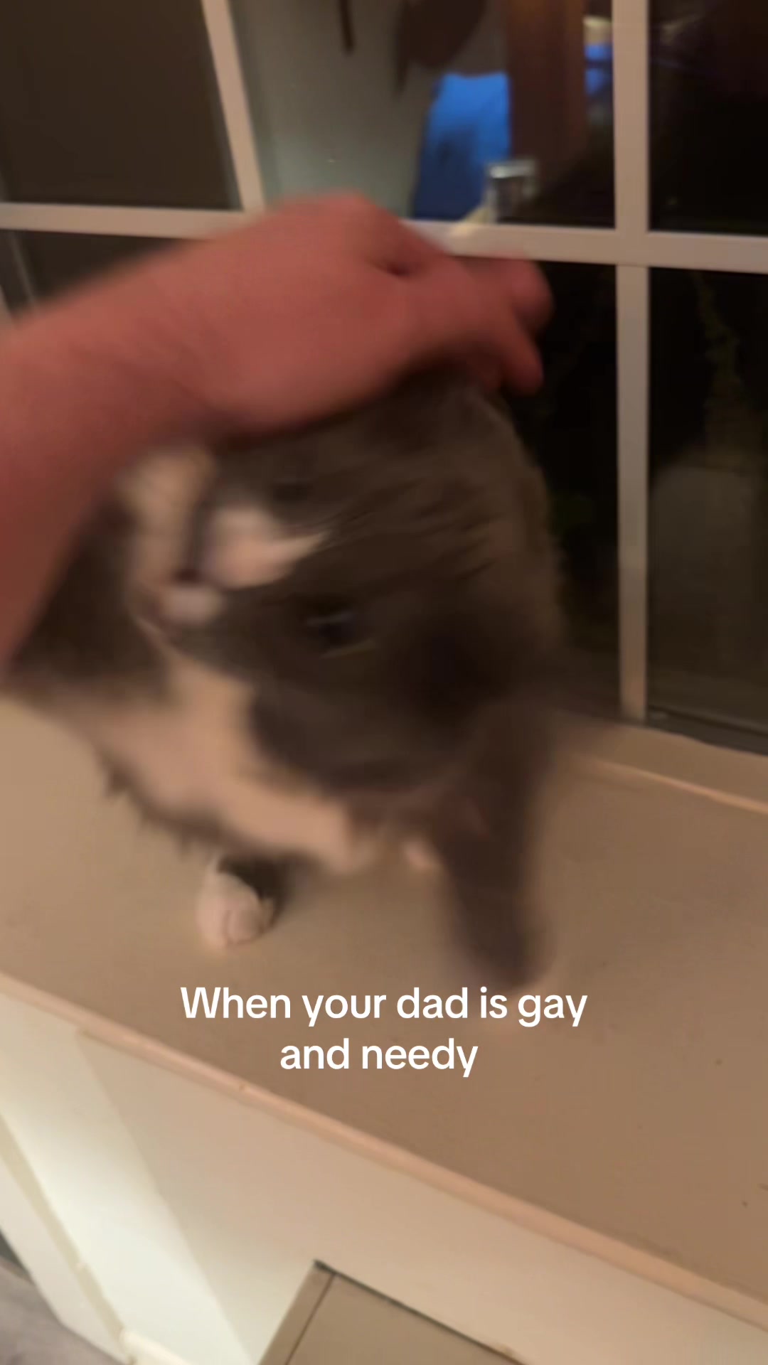 @misterkingtut