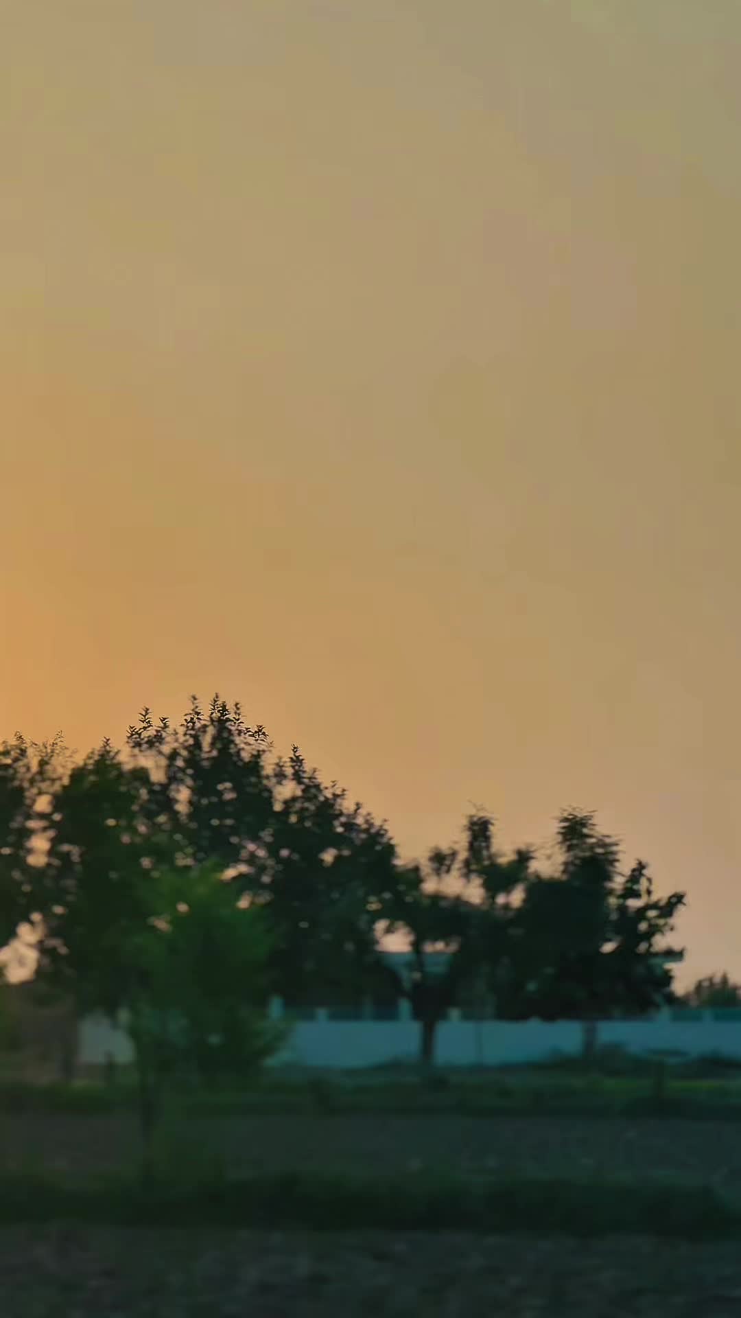 @⎯⎯❥ عبداللہ ماسید🔥(وزیرستانی)