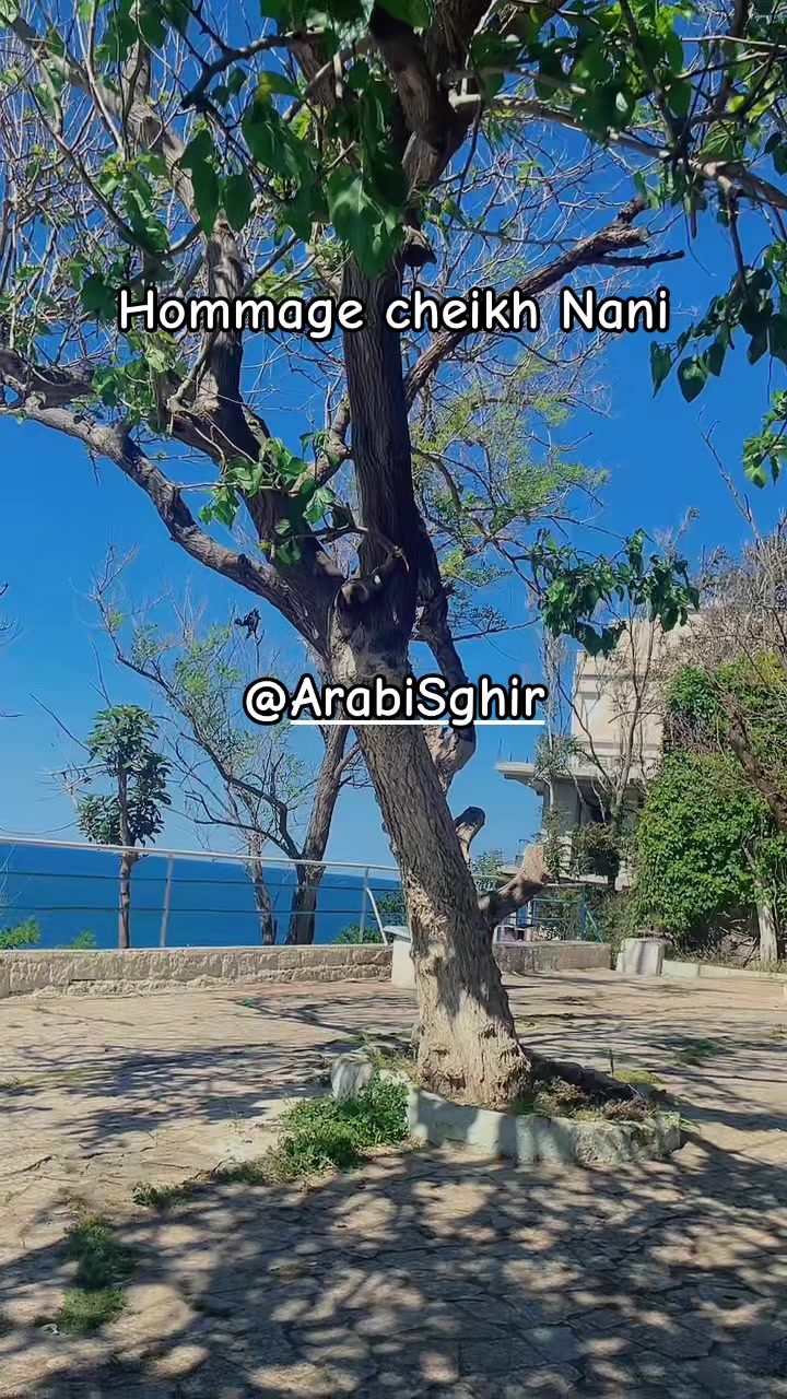 @🎻👑الــرَّاي الخـَـاثــر👑🎻