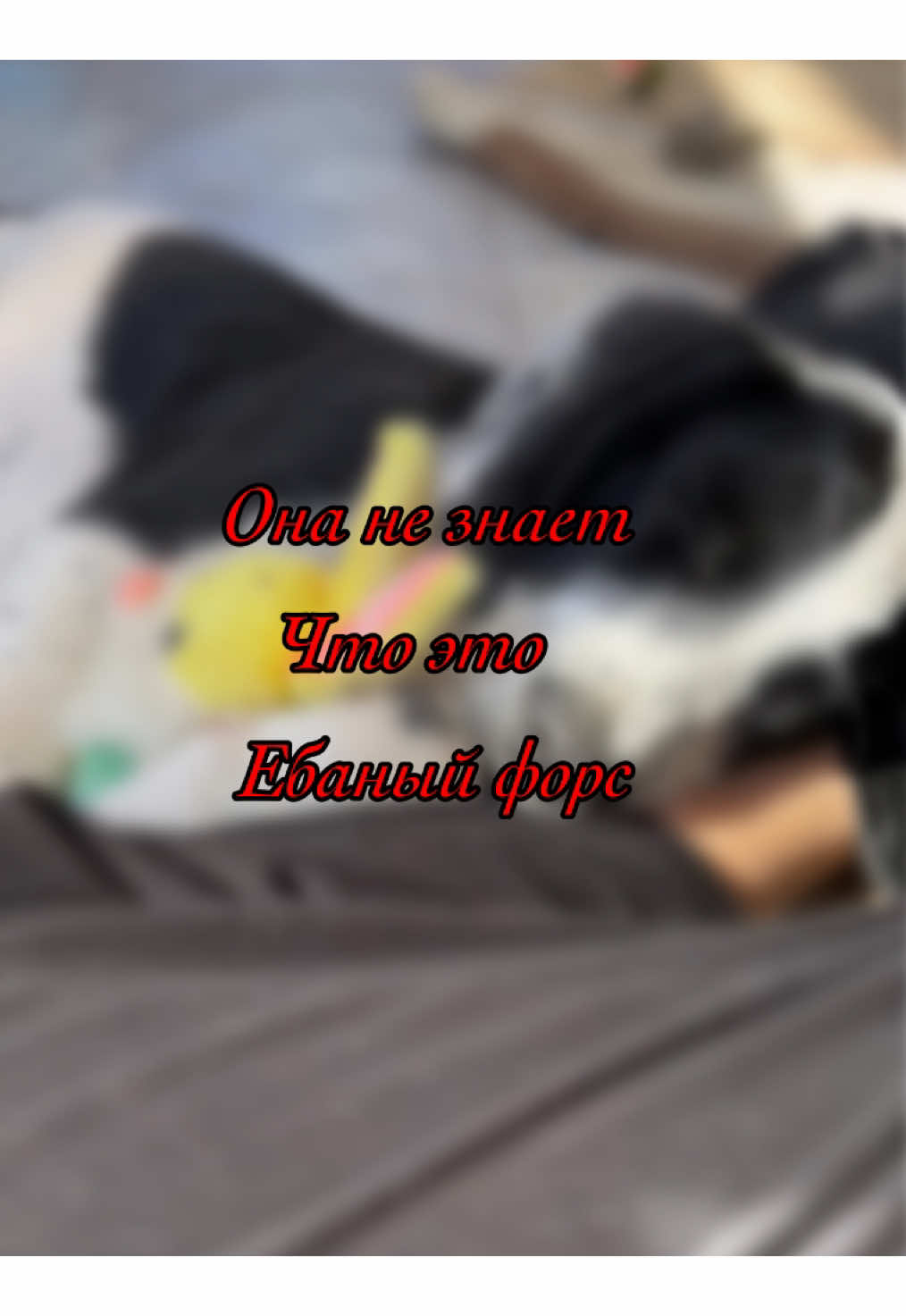 @🐾чёрно-белый ушехлоп🦎
