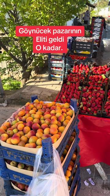 @FİKRET DARENDE