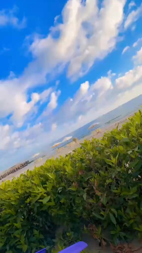 @دنيا فرغلي