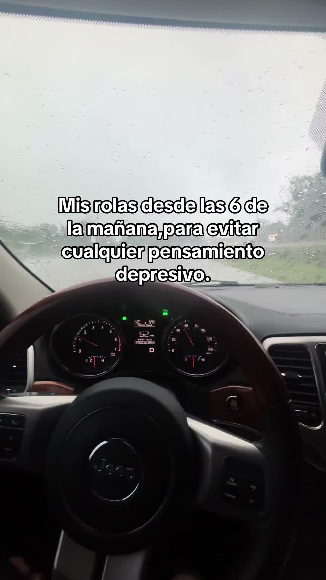 @Lety Vaca 🐮