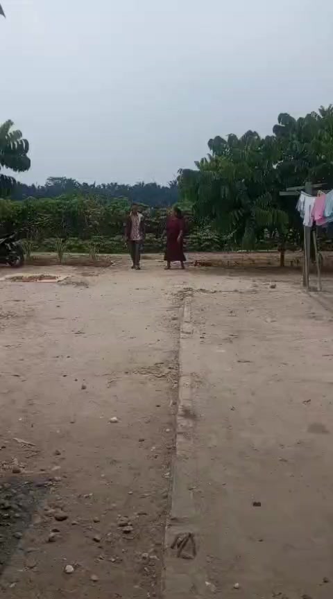 @mamicynta br tompul