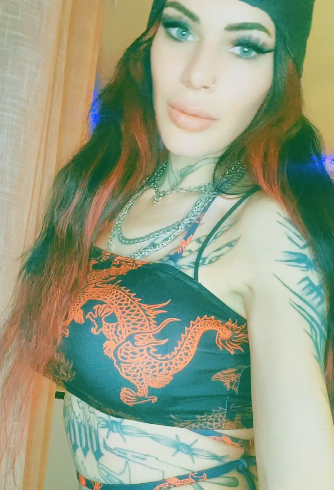@♤🔥𝔇𝔦𝔟𝔦𝔞𝔫 ℭ𝔞𝔱 666🔥♤