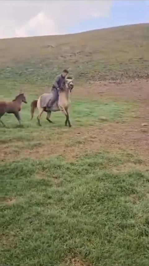@Vəli Baba