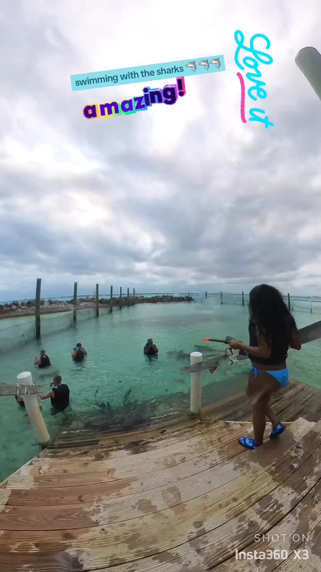 @sharkkyy