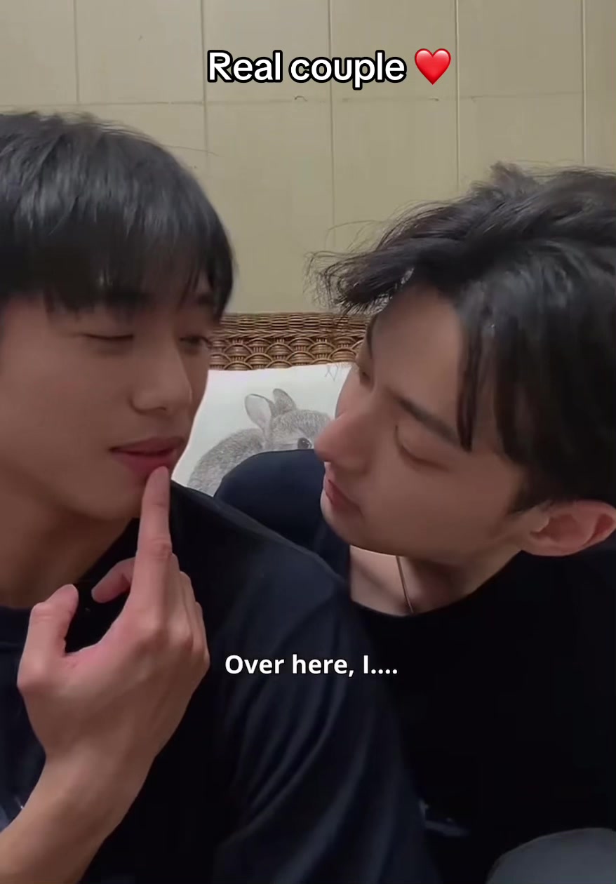 @Xizhao-Yuyi-🐻🐶🐳