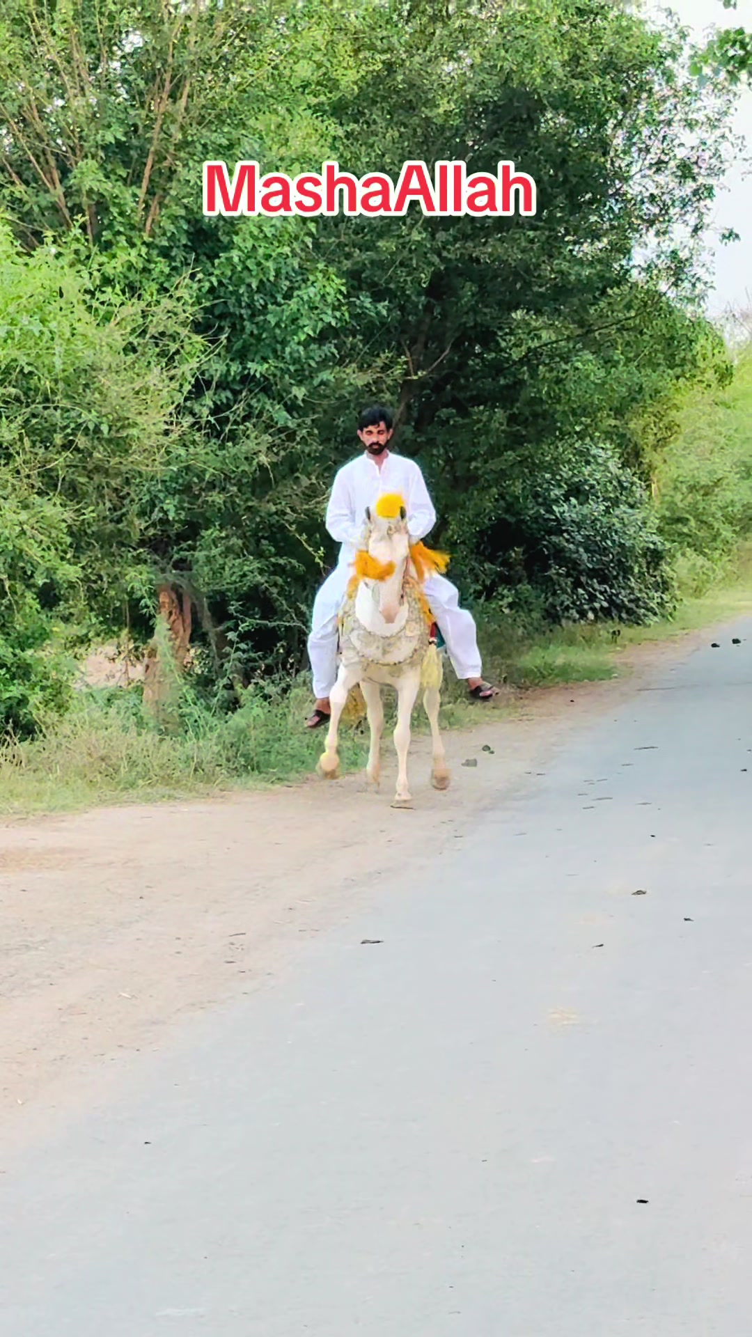 @Rai MUNAWAR SULTAN MANJ