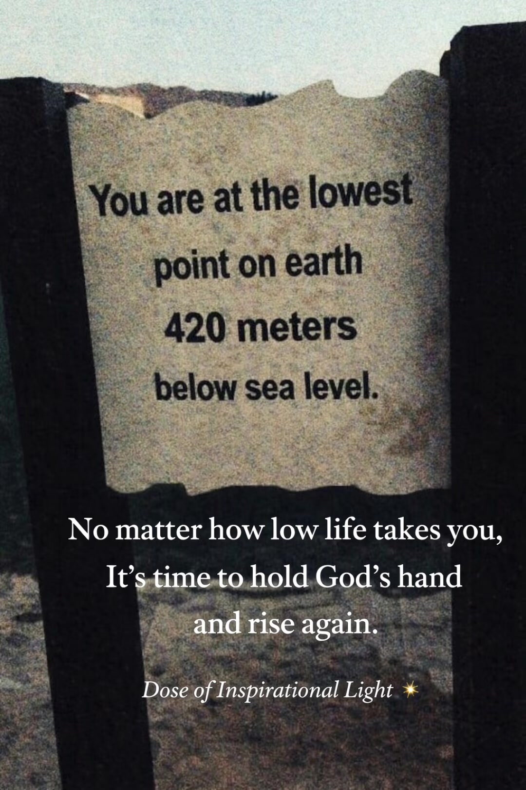 @shikha arora