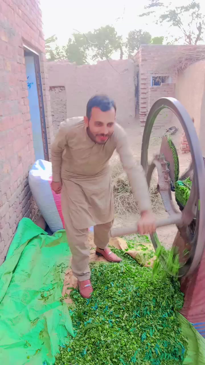 @mozammilhussain416