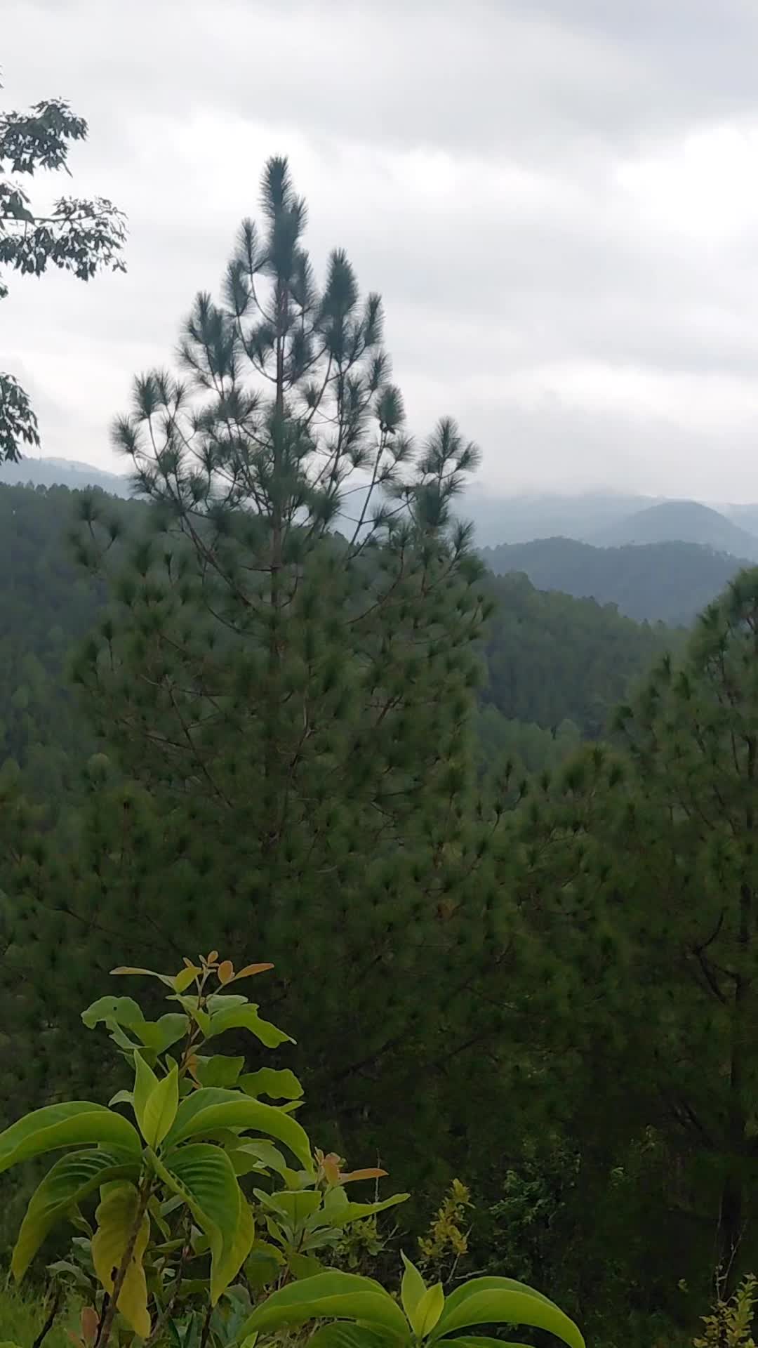 @रमेश बिरही...❤️✍️🇳🇵🇳🇵