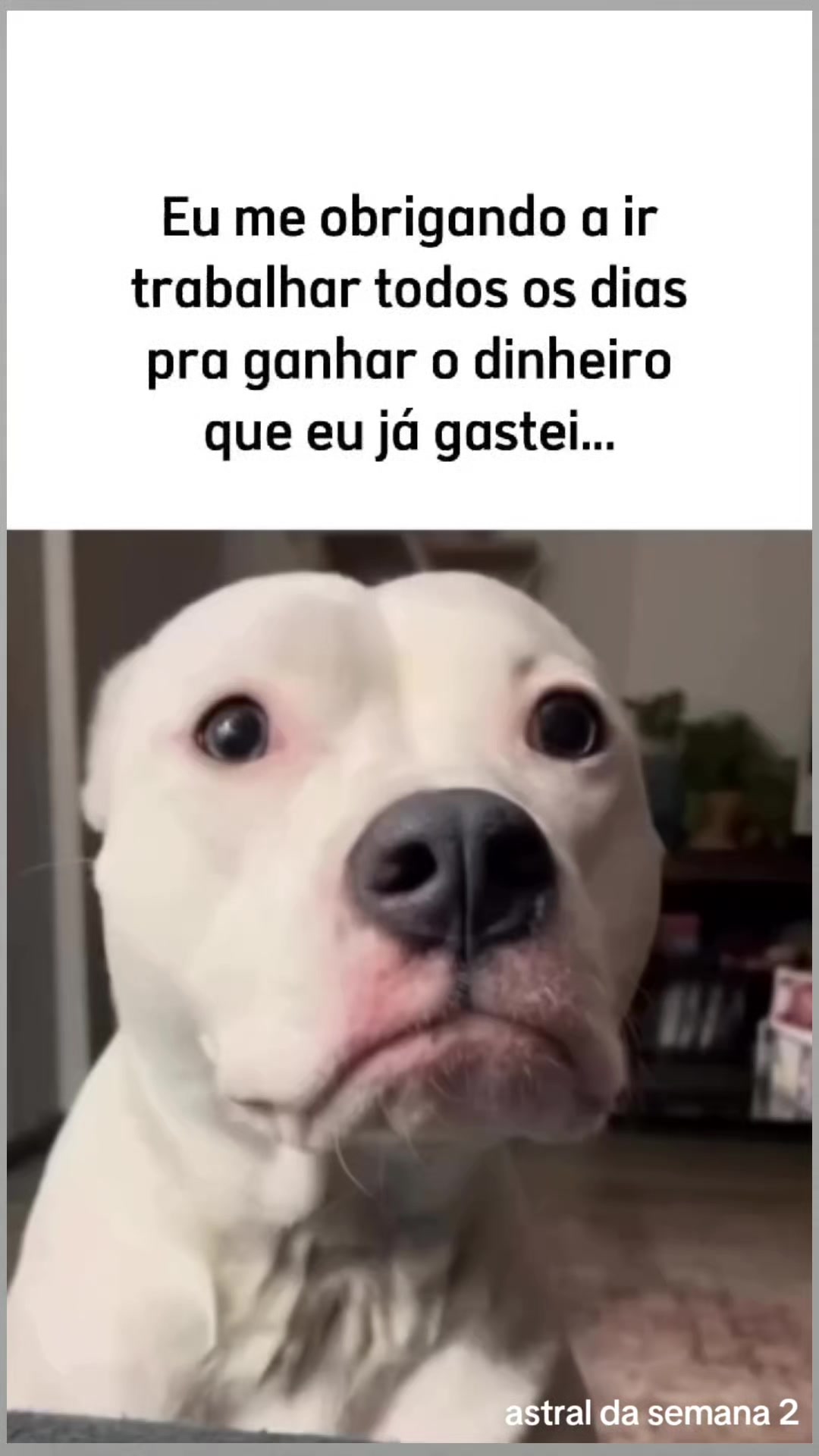 @Astral da semana 2
