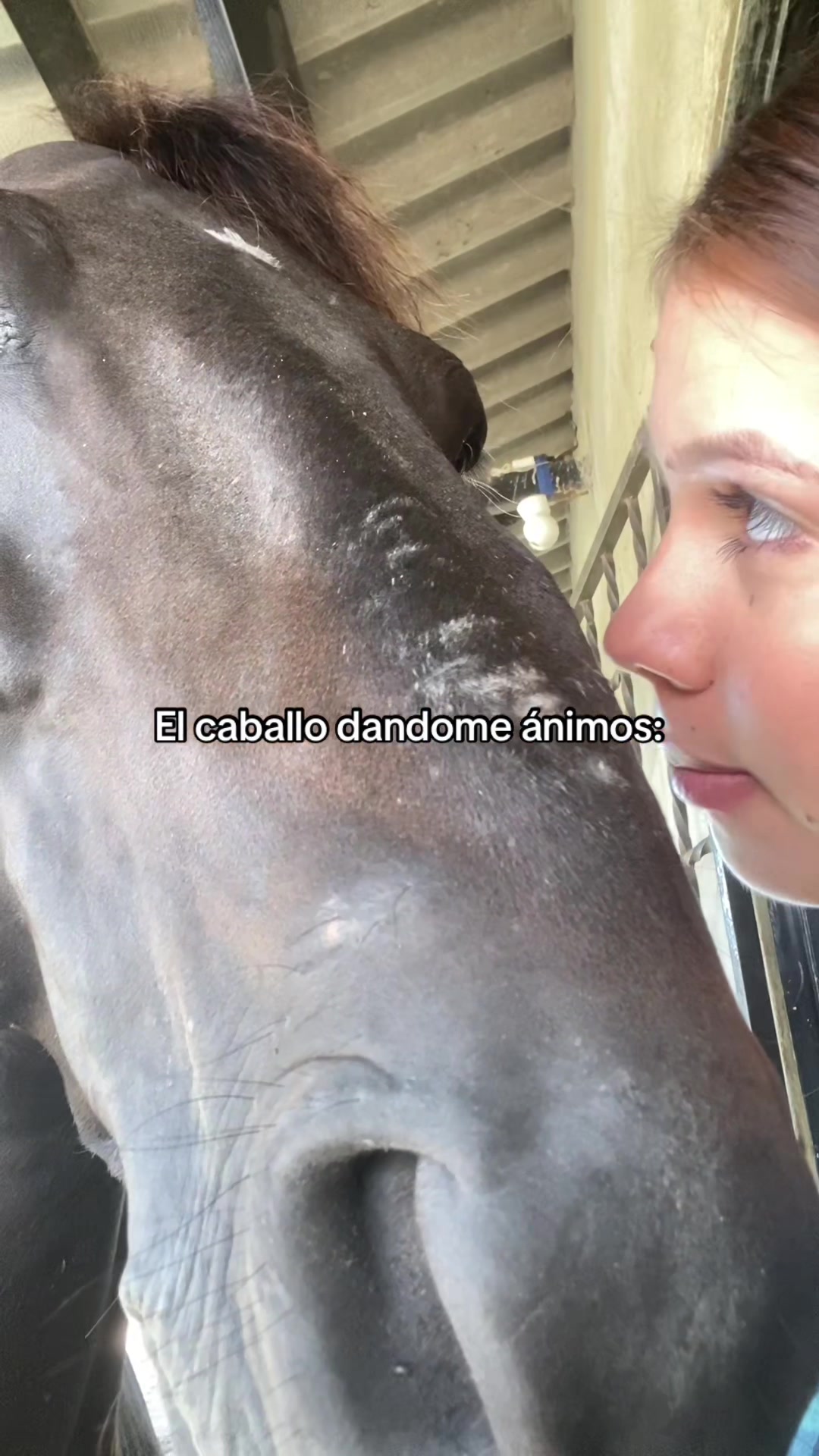 @Castañeda Rubio 🤠❤️